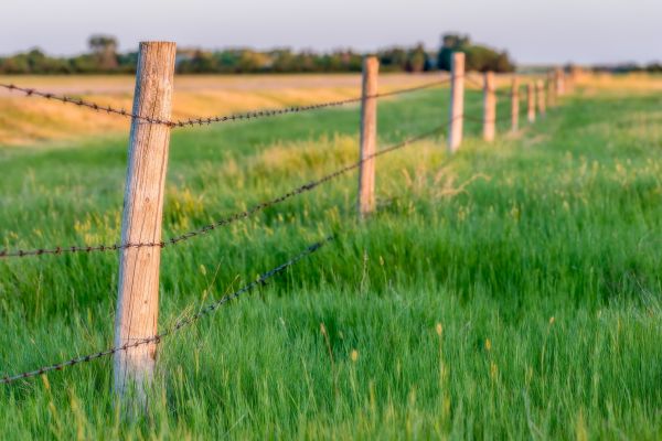 Horse Fence Installation Service