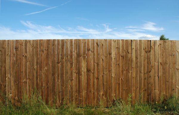 Pine Fence Installation Service