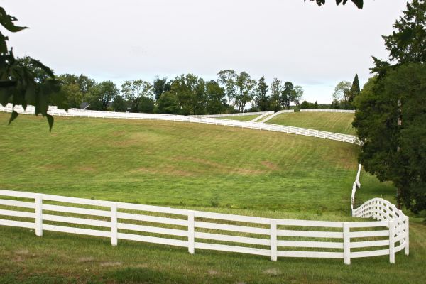 Paddock Fencing