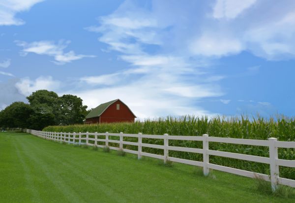 Wooden Farm Fence Installation Service