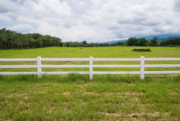 Paddock Fence Installation Service