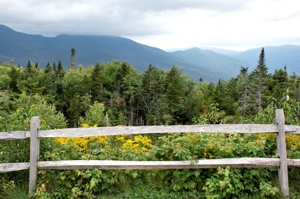 Post And Rail Fence Installation